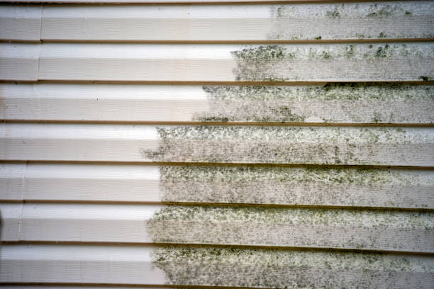 Best Foreclosure Cleanout  in Flemingsburg, KY